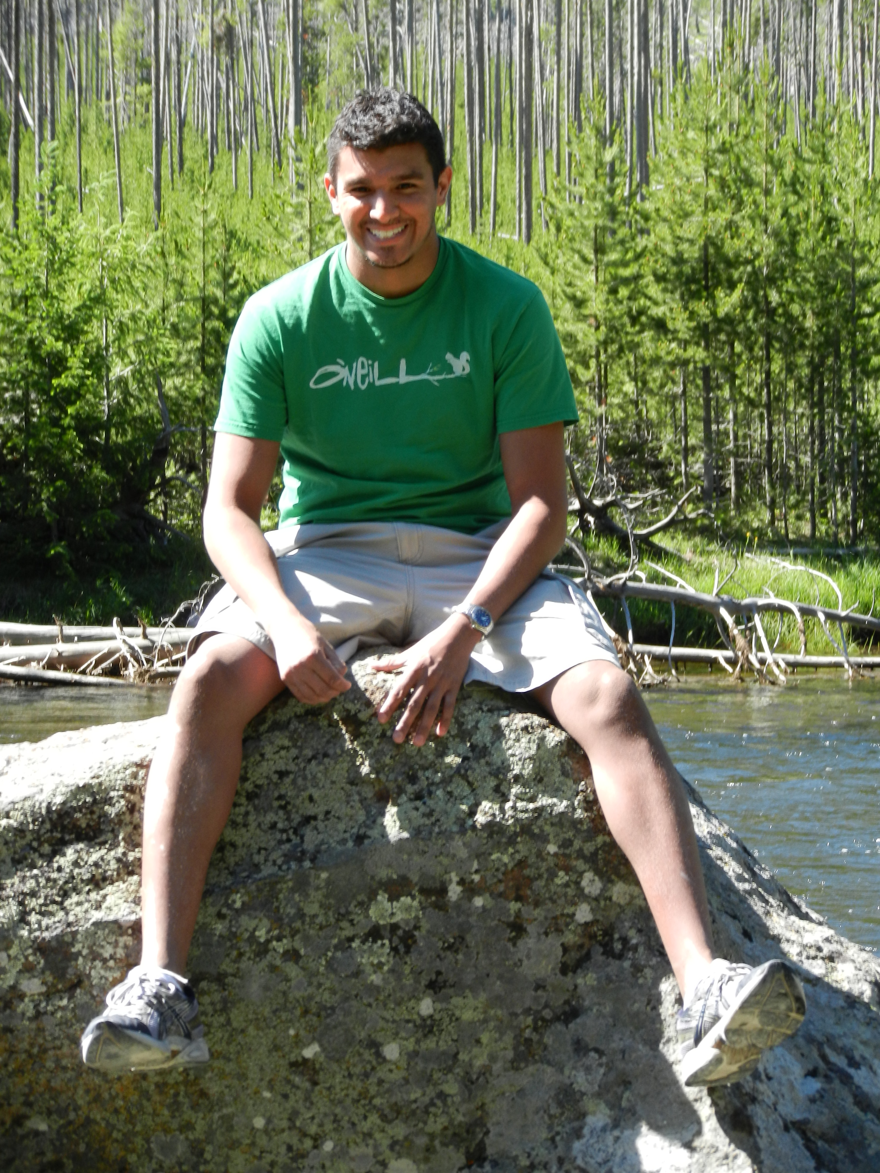 Last Vacation Yellow Stone